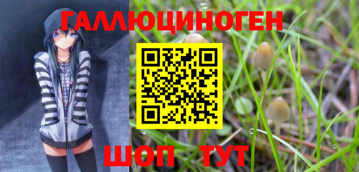 Галлюциногенные грибы прущие грибы Домодедово