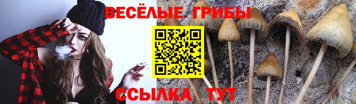 Псилоцибиновые грибы ЛСД  Галлюциногенные грибы GOLDEN TEACHER  Домодедово  Вход с VPN 